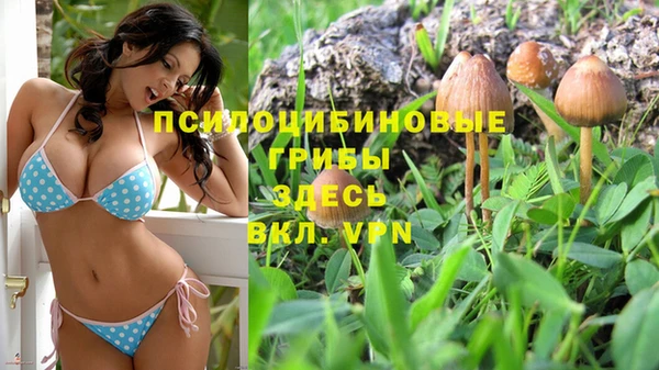 спиды Белокуриха
