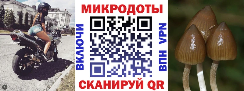 Галлюциногенные грибы GOLDEN TEACHER  Реж 
