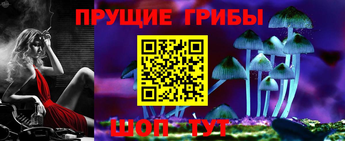 Реж  Галлюциногенные грибы прущие грибы  Вход с VPN 