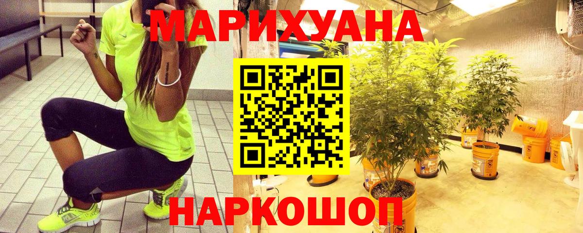 Бошки Шишки гибрид Реж